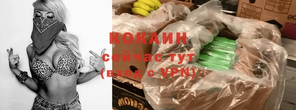 хмурый Арсеньев