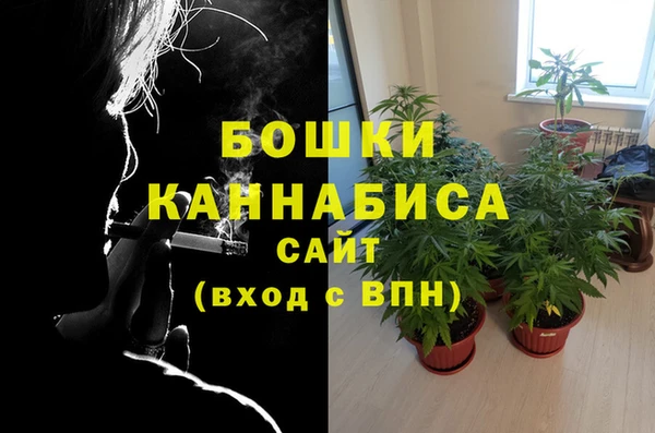хмурый Арсеньев