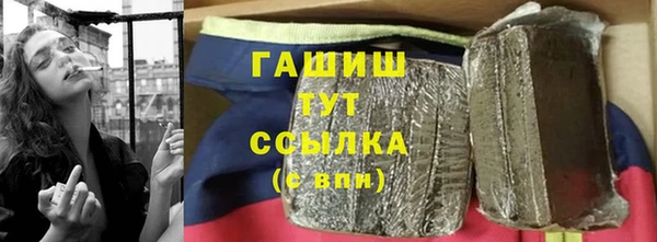 хмурый Арсеньев