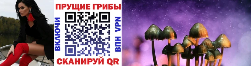 наркота  Видное  Псилоцибиновые грибы мицелий 